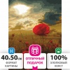 Картина по номерам 40х50 см, ОСТРОВ СОКРОВИЩ "Маковое поле", на подрамнике, акрил, кисти, 662493