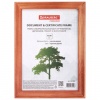 Рамка 15х20 см, дерево, багет 18 мм, BRAUBERG Pinewood, красное дерево, стекло, подставка, 391217