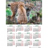 Календарь настенный листовой, 2022г, формат А2 45х60см, Дикие кошки, HATBER, Кл2_26042